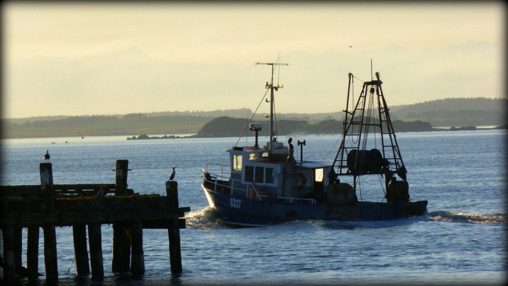 NZ Fishing Industry Literacy Training Sarahs Solutions Numeracy